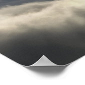 Bald Eagle Bird Poster (Hoek)