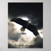 Bald Eagle Bird Poster (Voorkant)