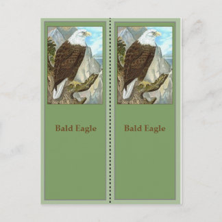 Bald Eagle Birding Bladwijzer Briefkaart