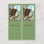 Bald Eagle Birding Bladwijzer Briefkaart (Voorkant)