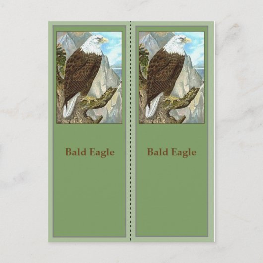Bald Eagle Birding Bladwijzer Briefkaart (Voorkant)