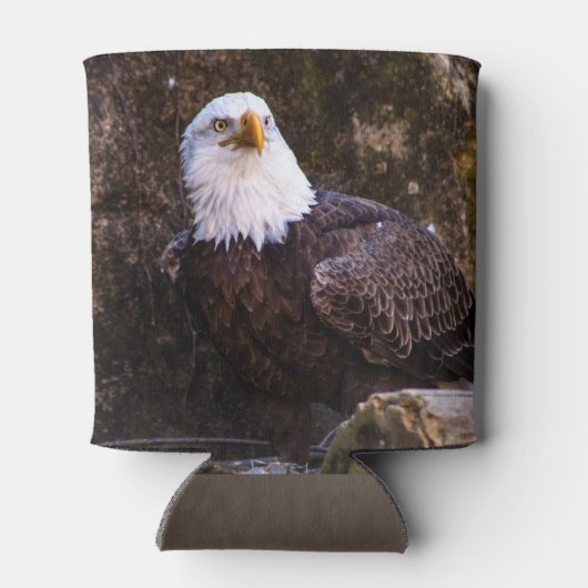 Bald Eagle Blikjeskoeler (Achterkant)