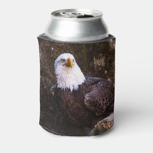 Bald Eagle Blikjeskoeler (Blikje Achterkant)