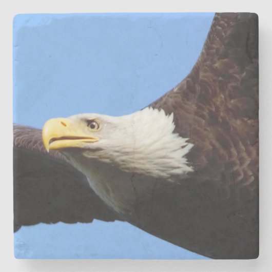 Bald Eagle Blue Sky Stenen Onderzetter (Voorkant)