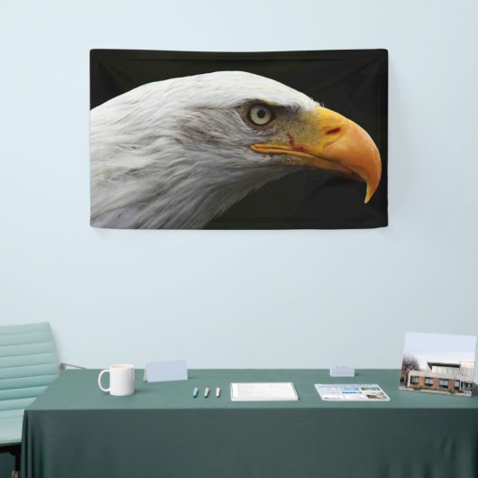 Bald Eagle bnrcnm Spandoek (Beurs)