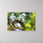 Bald Eagle Branch Takeoff Canvas Afdruk (Voorkant)