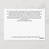 Bald Eagle Briefkaart (Achterkant)