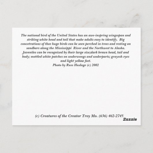 Bald Eagle Briefkaart (Achterkant)