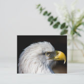 Bald Eagle Briefkaart (Staand voorkant)