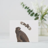 Bald Eagle Briefkaart (Staand voorkant)