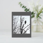 Bald Eagle Briefkaart (Staand voorkant)