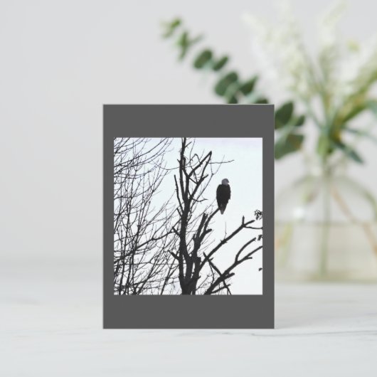 Bald Eagle Briefkaart (Staand voorkant)