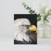 Bald Eagle Briefkaart (Staand voorkant)