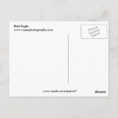 Bald Eagle Briefkaart (Achterkant)