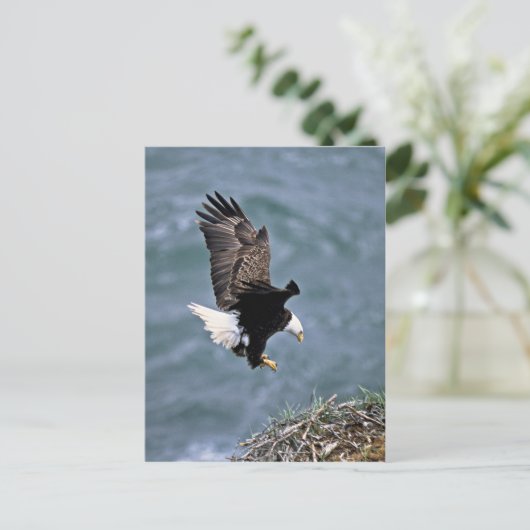 Bald Eagle Briefkaart (Staand voorkant)