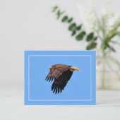 Bald Eagle Briefkaart (Staand voorkant)