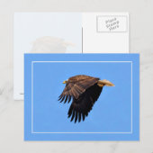 Bald Eagle Briefkaart (Voorkant / Achterkant)