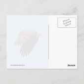 Bald Eagle Briefkaart (Achterkant)