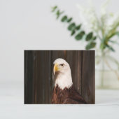 Bald Eagle Briefkaart (Staand voorkant)