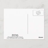 Bald Eagle Briefkaart (Achterkant)