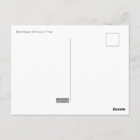 Bald Eagle Briefkaart (Achterkant)