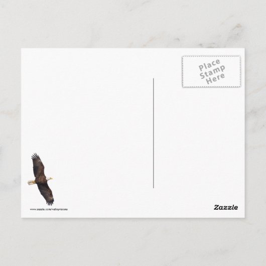 Bald Eagle Briefkaart (Achterkant)