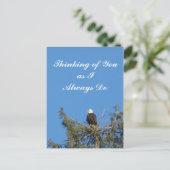 Bald Eagle Briefkaart (Staand voorkant)