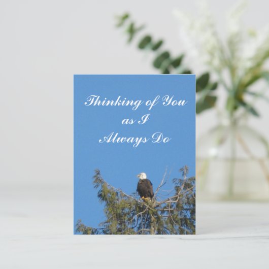Bald Eagle Briefkaart (Staand voorkant)
