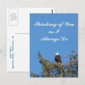 Bald Eagle Briefkaart (Voorkant / Achterkant)