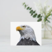 Bald Eagle Briefkaart (Staand voorkant)