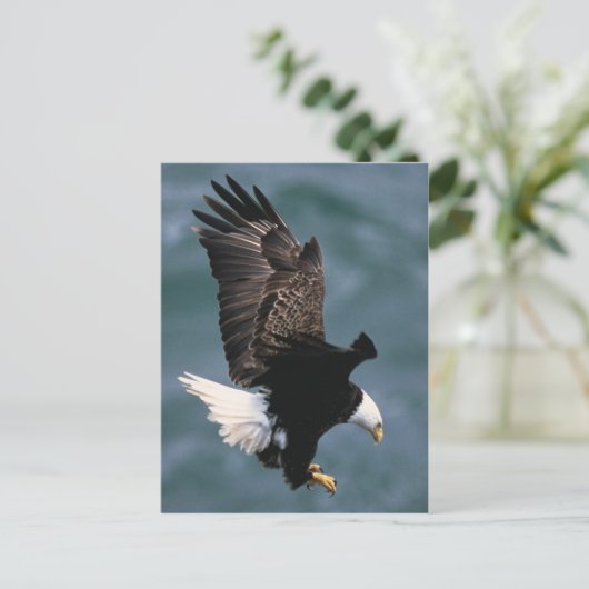 Bald Eagle Briefkaart (Staand voorkant)