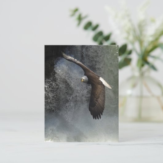 Bald Eagle Briefkaart (Staand voorkant)
