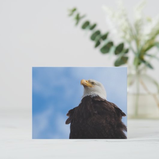 Bald Eagle Briefkaart (Staand voorkant)