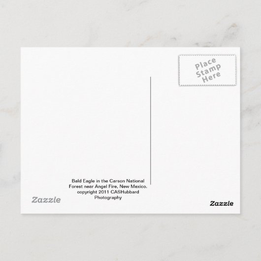 Bald Eagle Briefkaart (Achterkant)