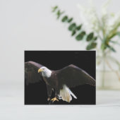 Bald Eagle Briefkaart (Staand voorkant)