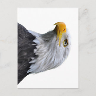 Bald Eagle Briefkaart