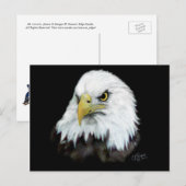 Bald Eagle Briefkaart 2 (Voorkant / Achterkant)