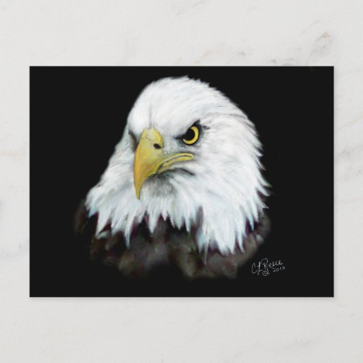 Bald Eagle Briefkaart 2 (Voorkant)