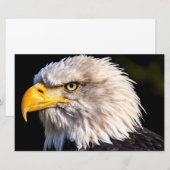 Bald Eagle Briefpapier (Voorkant / Achterkant)