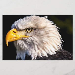 Bald Eagle Briefpapier