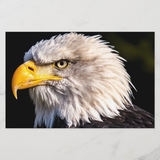 Bald Eagle Briefpapier (Voorkant)