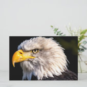 Bald Eagle Briefpapier (Staand voorkant)
