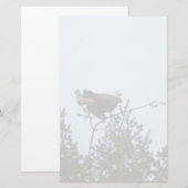 Bald Eagle Briefpapier (Voorkant / Achterkant)