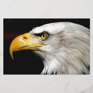 Bald Eagle Briefpapier