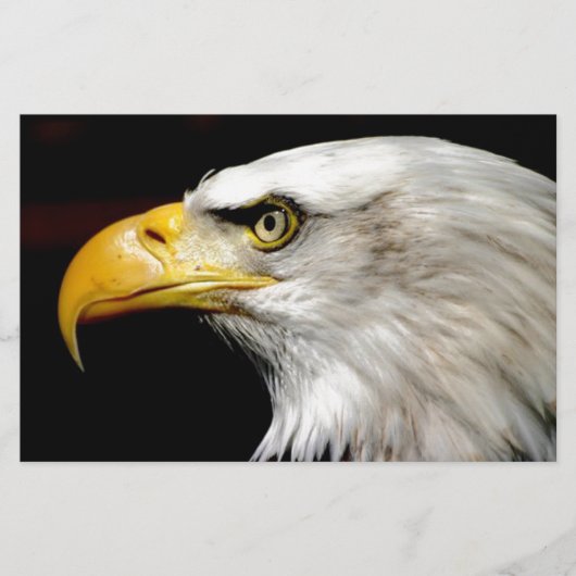 Bald Eagle Briefpapier (Voorkant)