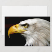 Bald Eagle Briefpapier (Voorkant / Achterkant)
