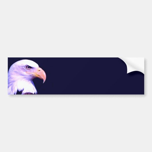 Bald Eagle Bumpersticker (Voorkant)