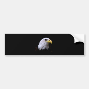 Bald Eagle Bumpersticker