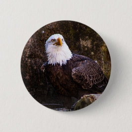 Bald Eagle Button