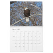 Bald Eagle Calendar Kalender (Mar 2026)